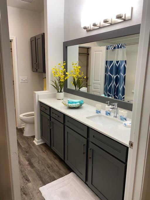 Your Warm Spacious Unit With Pool - Medical Center Houston Exteriör bild